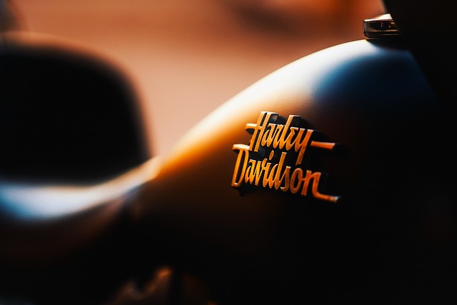 Client Logo 4